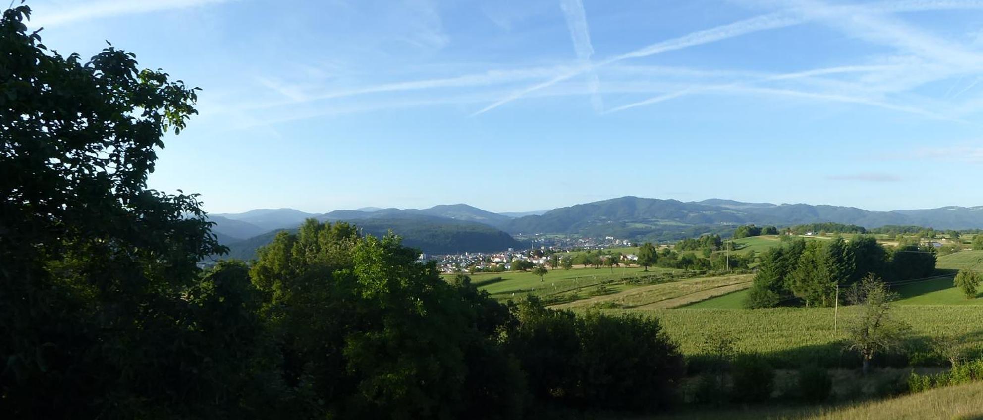 Hotel Hohe Flum Schopfheim Eksteriør bilde